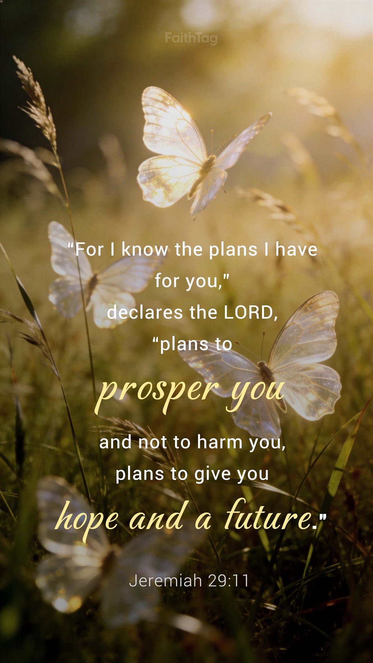 Bible-26-4-9