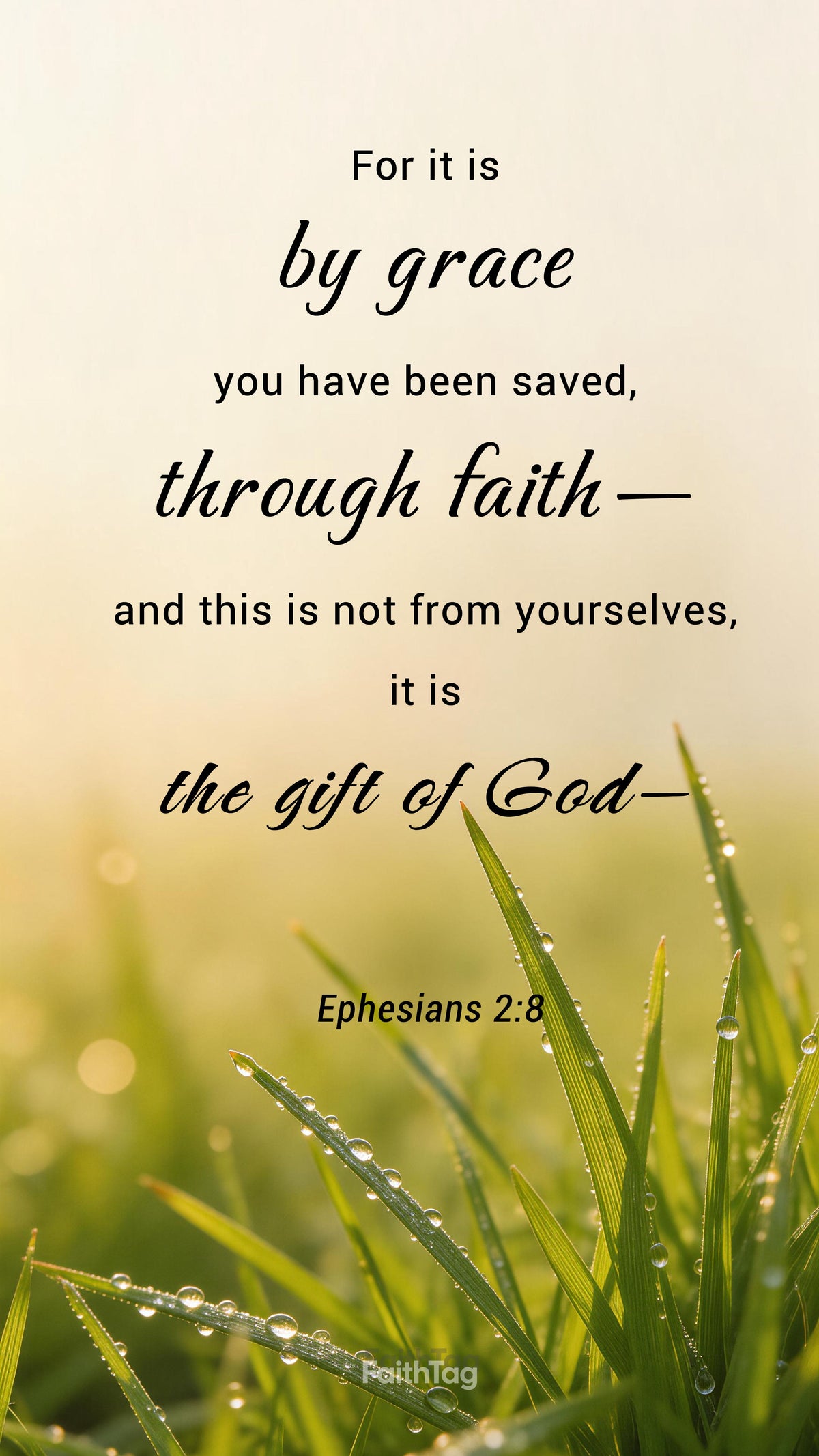 Bible-26-4-19