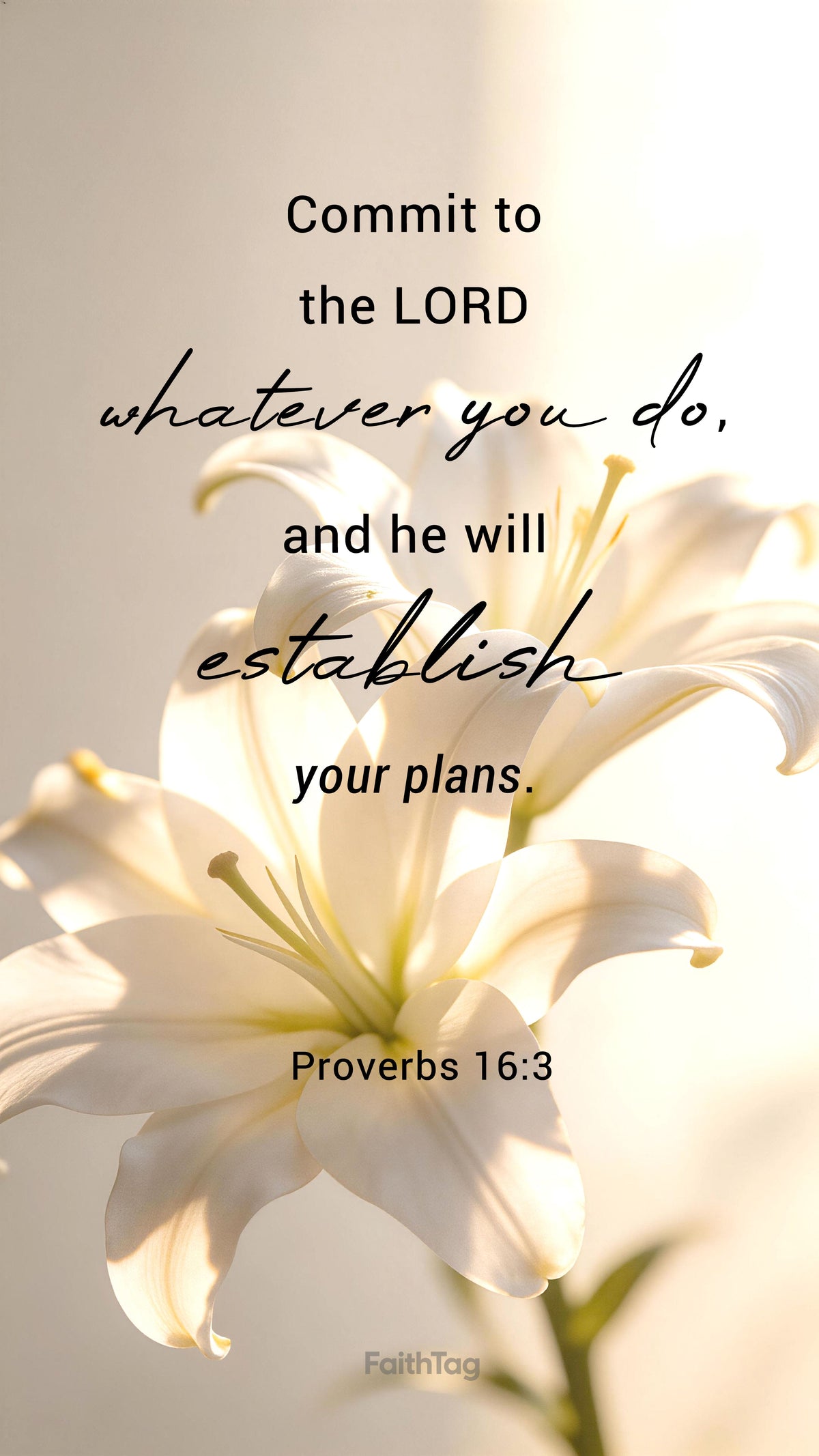 Bible-26-5-1