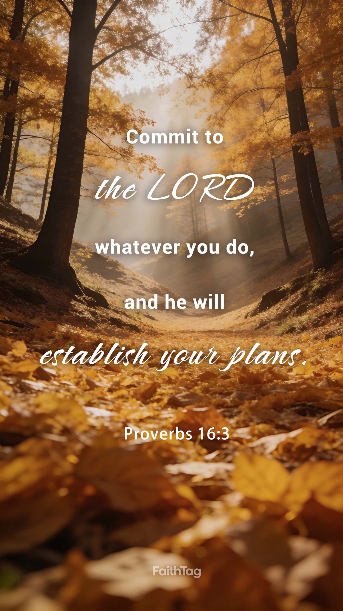 Bible-26-7-1